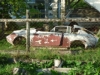 Mk.III Guyana